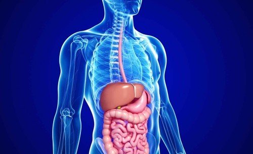 Best-Gastroenterologist-in-Bangalore-Gastroenterology-Doctors-in-Bangalore